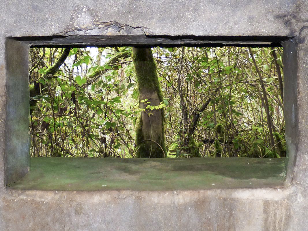 Ligne Maginot - BB1-A - LES TRIEUX NORD - (Blockhaus pour canon) -  - JMBrams