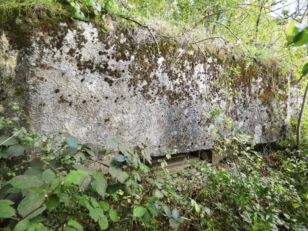 Ligne Maginot - BB2-A - LES TRIEUX SUD - (Blockhaus pour canon) -  - JMBrams