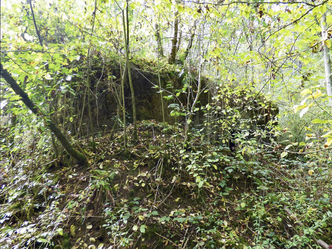 Ligne Maginot - BB2-A - LES TRIEUX SUD - (Blockhaus pour canon) -  - JMBrams