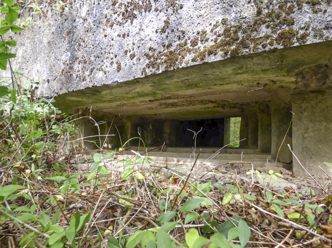 Ligne Maginot - BB2-A - LES TRIEUX SUD - (Blockhaus pour canon) -  - JMBrams