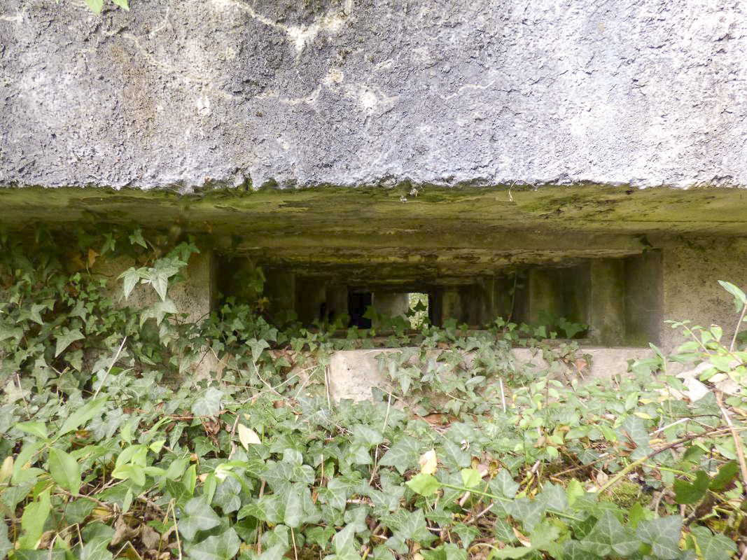 Ligne Maginot - BB2-A - LES TRIEUX SUD - (Blockhaus pour canon) -  - JMBrams