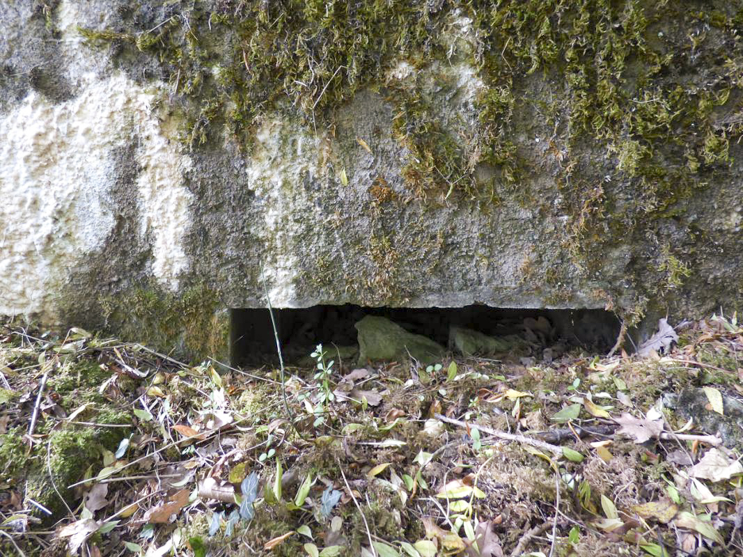 Ligne Maginot - BB2-A - LES TRIEUX SUD - (Blockhaus pour canon) -  - JMBrams
