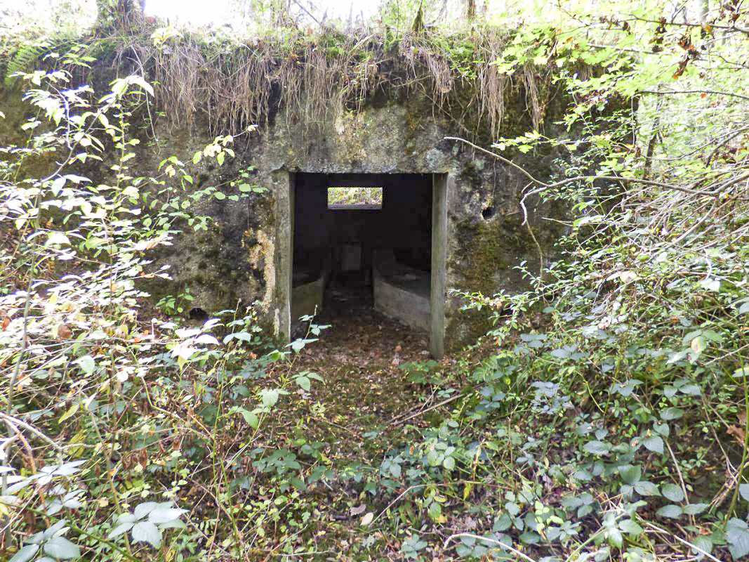 Ligne Maginot - BB2-A - LES TRIEUX SUD - (Blockhaus pour canon) -  - JMBrams