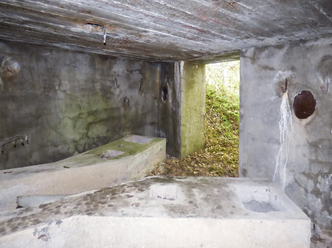 Ligne Maginot - BB2-A - LES TRIEUX SUD - (Blockhaus pour canon) -  - JMBrams