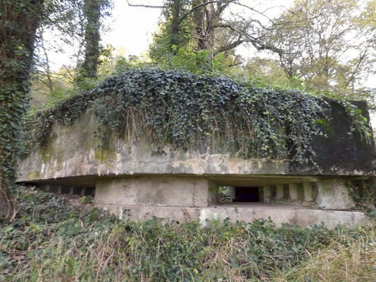 Ligne Maginot - BB3-A - HIERGES - (Blockhaus pour canon) -  - AALMA - www.lignemaginot.com