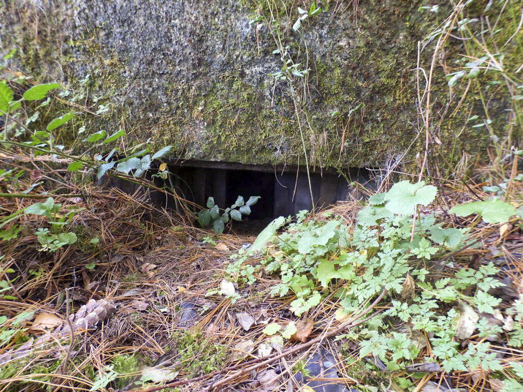 Ligne Maginot - BB5-A - MOLHAIN CENTRE - (Blockhaus pour canon) -  - JMBrams