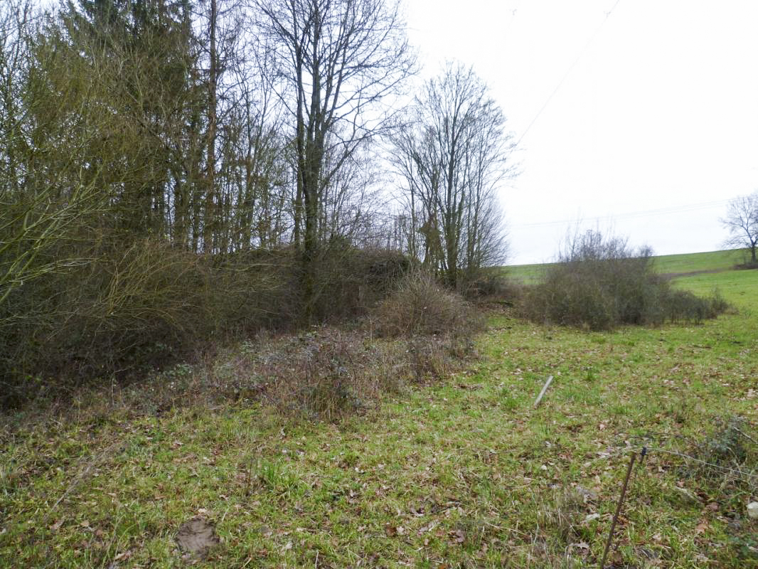Ligne Maginot - MC11 -  AC7B  - NONNENWALD - (Casemate d'artillerie) - Vue depuis le chemin - AsH