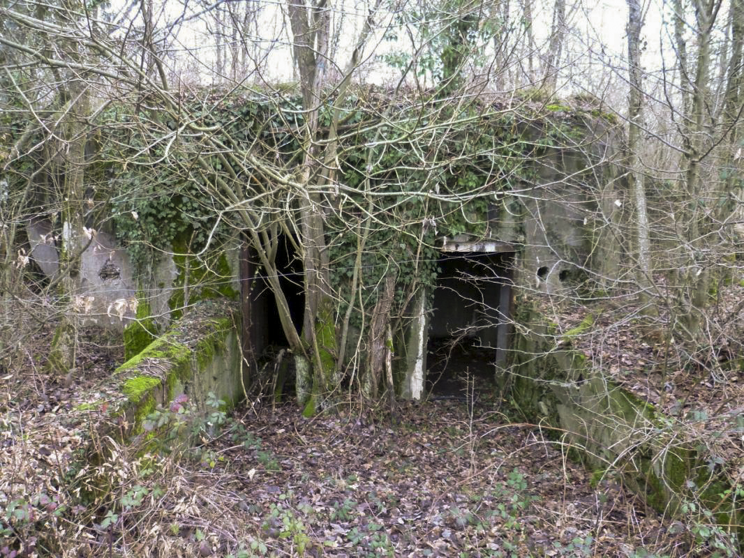 Ligne Maginot - MC11 -  AC7B  - NONNENWALD - (Casemate d'artillerie) - Les doubles portes d'entrée, a gauche pour le côté canon et le FM, a droite pour la défense arrière avec un FM. - AsH