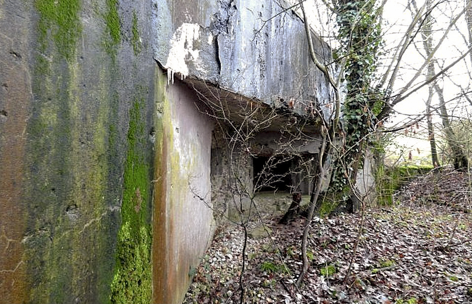 Ligne Maginot - MC11 -  AC7B  - NONNENWALD - (Casemate d'artillerie) -  - Sylvie Laure LAMBERT