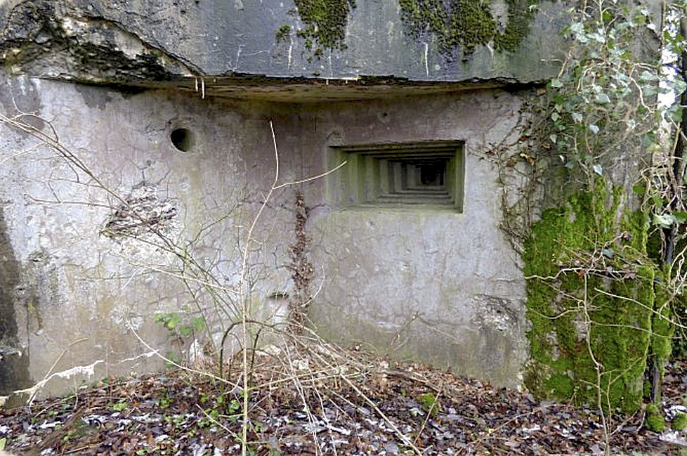 Ligne Maginot - MC11 -  AC7B  - NONNENWALD - (Casemate d'artillerie) -  - Sylvie Laure LAMBERT