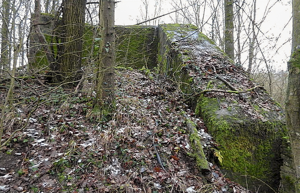 Ligne Maginot - MC11 -  AC7B  - NONNENWALD - (Casemate d'artillerie) -  - Sylvie Laure LAMBERT