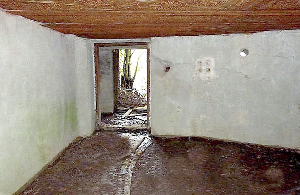 Ligne Maginot - MC11 -  AC7B  - NONNENWALD - (Casemate d'artillerie) - Restes de la circulaire - Sylvie Laure LAMBERT