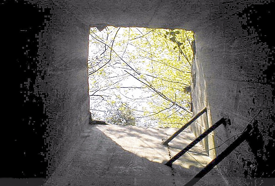 Ligne Maginot - MC11 -  AC7B  - NONNENWALD - (Casemate d'artillerie) -  - Sylvie Laure LAMBERT