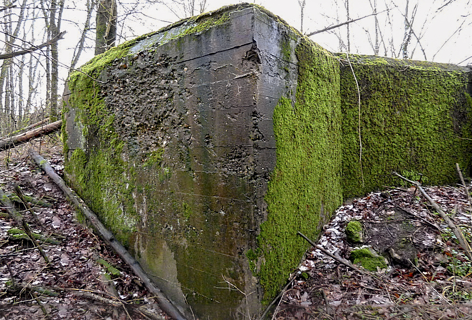 Ligne Maginot - MC11 -  AC7B  - NONNENWALD - (Casemate d'artillerie) -  - Sylvie Laure LAMBERT
