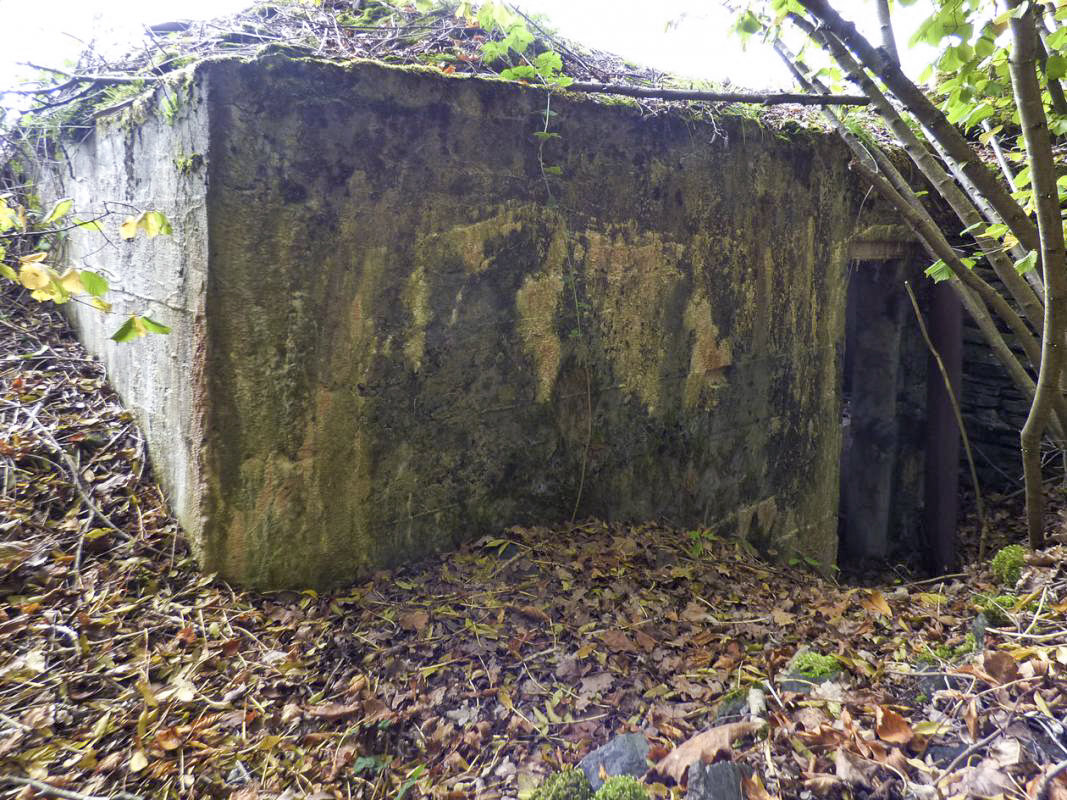 Ligne Maginot - BB11 - CHEMIN DE FER EST - (Blockhaus pour arme infanterie) -  - JMBrams