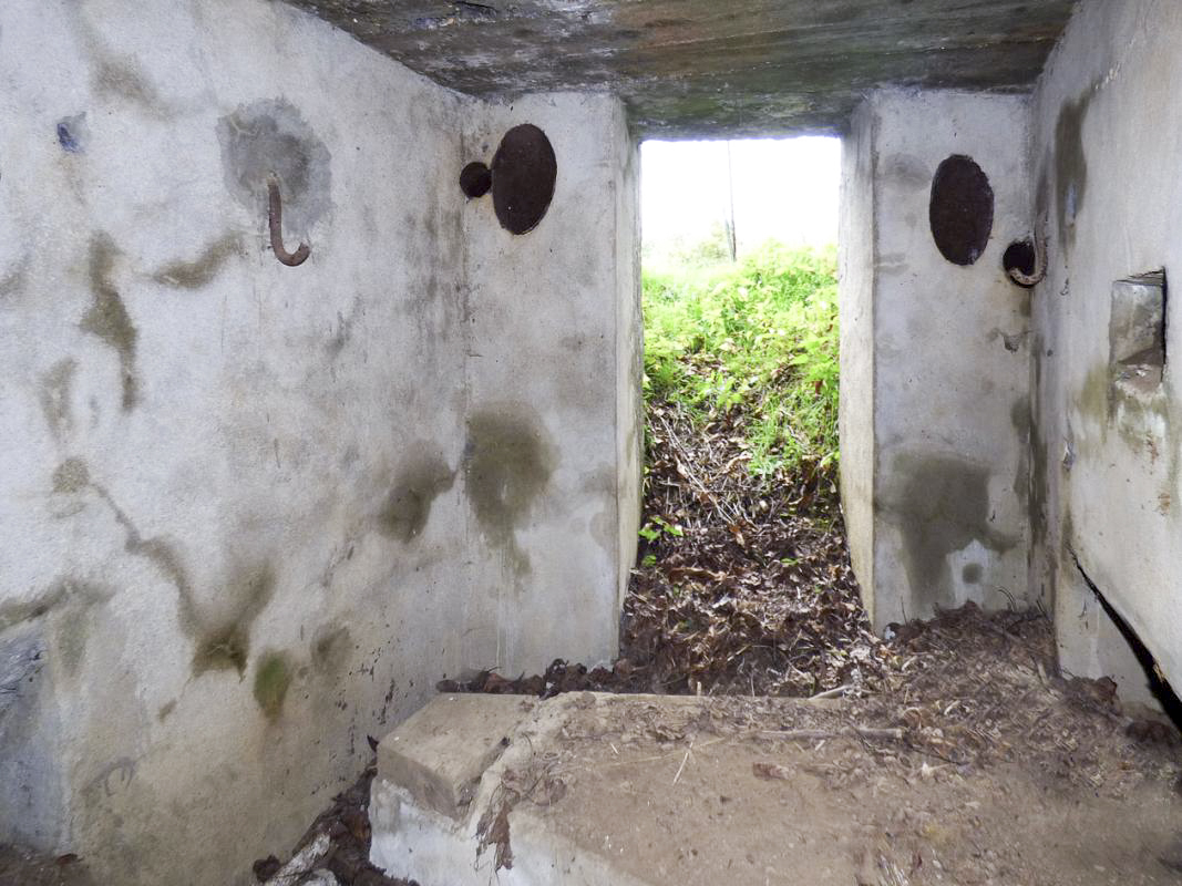 Ligne Maginot - BB15 - TRIEUX DU CHENET - (Blockhaus pour arme infanterie) -  - JMBrams