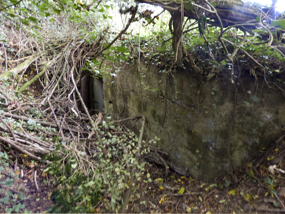 Ligne Maginot - BB19 - FORGES DE VIREUX OUEST - (Blockhaus pour arme infanterie) -  - JMBrams