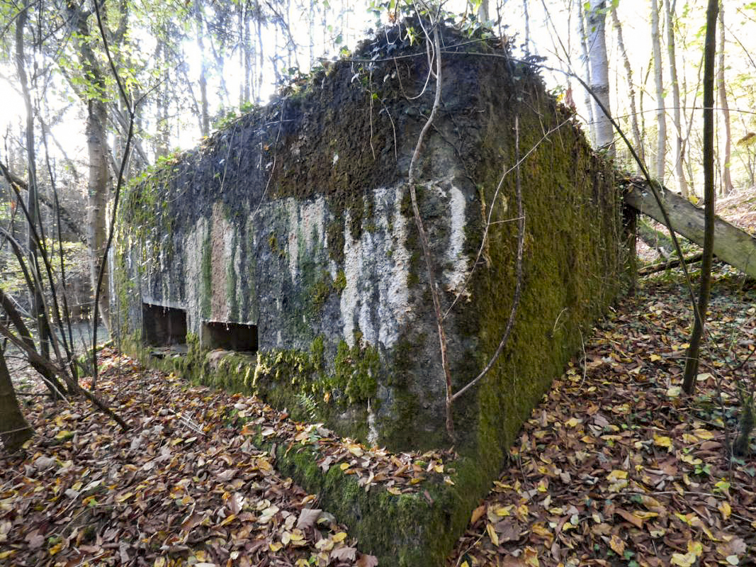 Ligne Maginot - BB22 - LA BATE NORD - (Blockhaus pour canon) -  - JMBrams