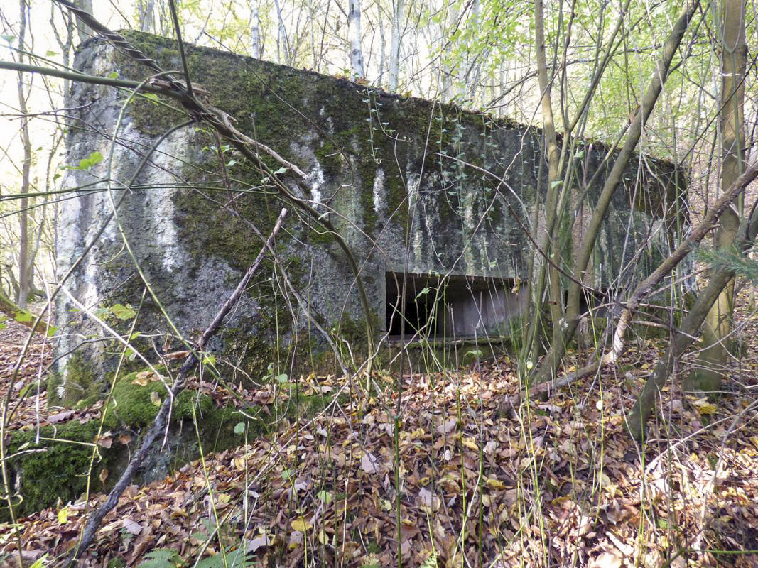 Ligne Maginot - BB22 - LA BATE NORD - (Blockhaus pour canon) -  - JMBrams