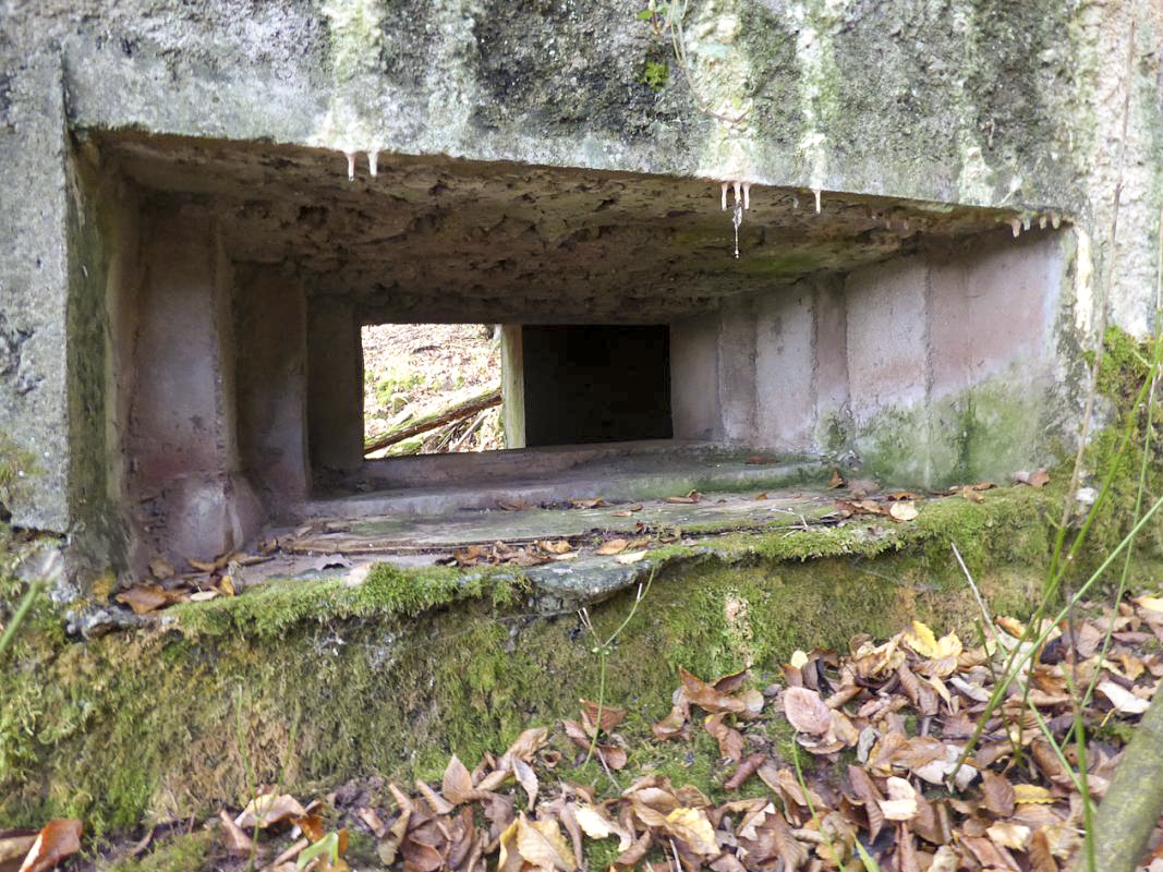Ligne Maginot - BB22 - LA BATE NORD - (Blockhaus pour canon) -  - JMBrams