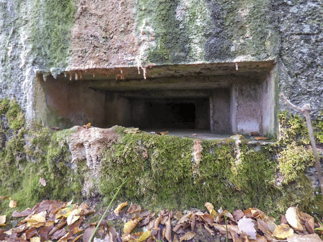 Ligne Maginot - BB22 - LA BATE NORD - (Blockhaus pour canon) -  - JMBrams