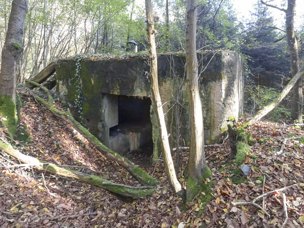 Ligne Maginot - BB22 - LA BATE NORD - (Blockhaus pour canon) -  - JMBrams