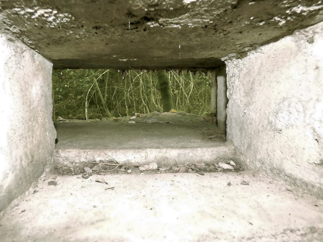 Ligne Maginot - BB22 - LA BATE NORD - (Blockhaus pour canon) -  - JMBrams