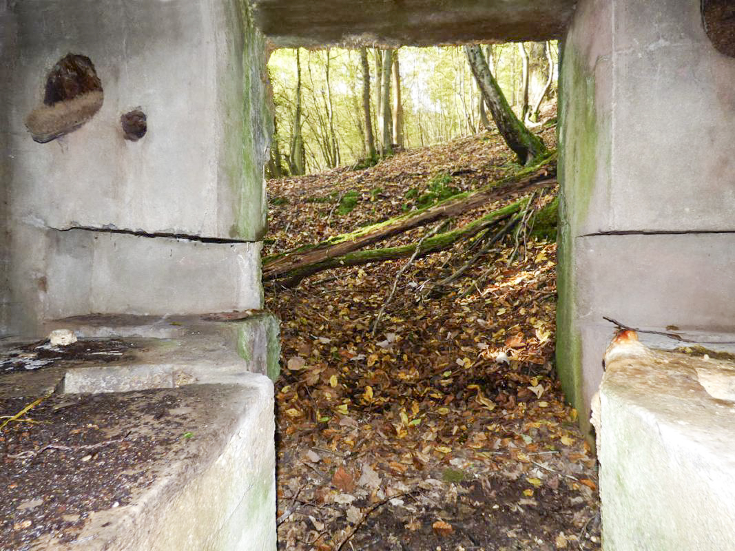 Ligne Maginot - BB22 - LA BATE NORD - (Blockhaus pour canon) -  - JMBrams