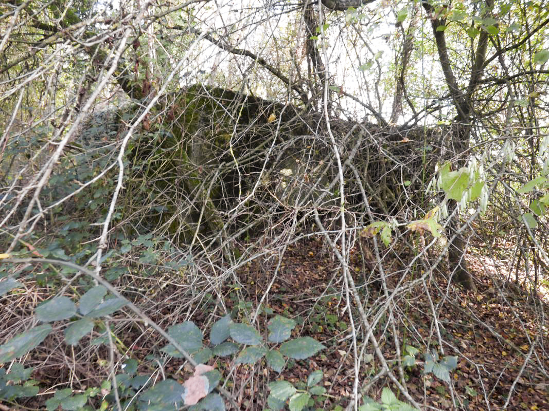 Ligne Maginot - BB25 - FOND DE CLERIVAUX - (Blockhaus pour arme infanterie) -  - JMBrams