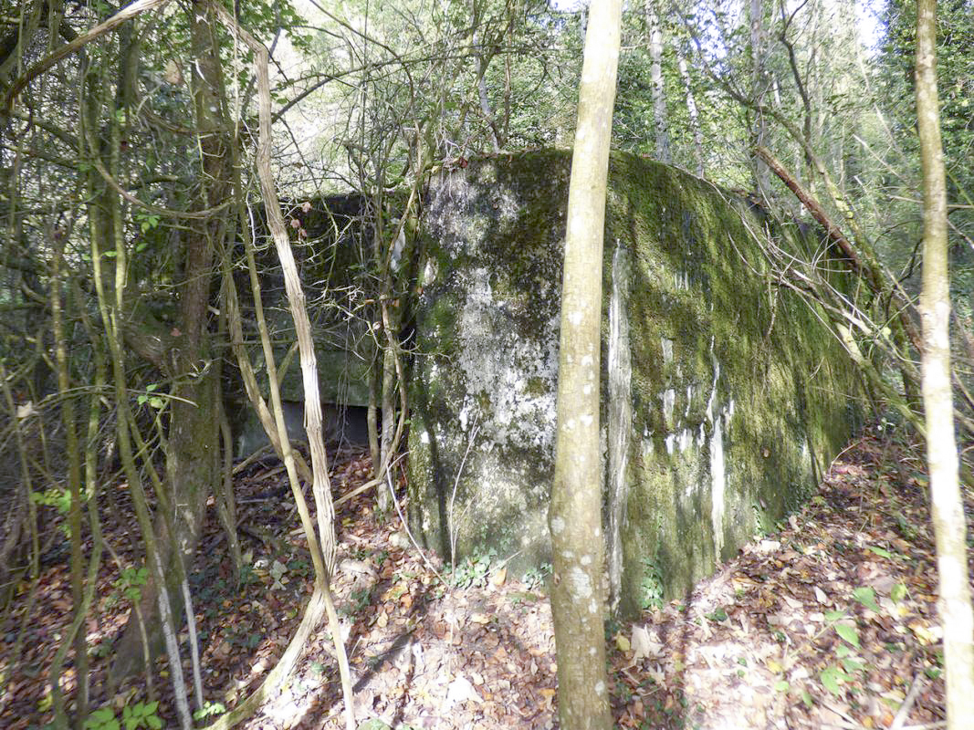Ligne Maginot - BB25 - FOND DE CLERIVAUX - (Blockhaus pour arme infanterie) -  - JMBrams