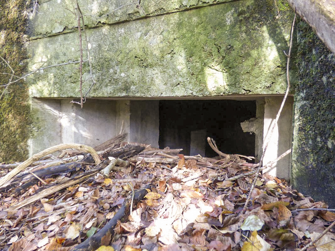 Ligne Maginot - BB25 - FOND DE CLERIVAUX - (Blockhaus pour arme infanterie) -  - JMBrams