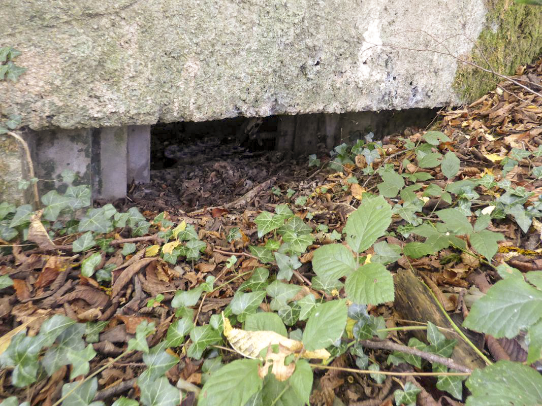 Ligne Maginot - BB26 - MONTIGNY - (Blockhaus pour canon) -  - JMBrams