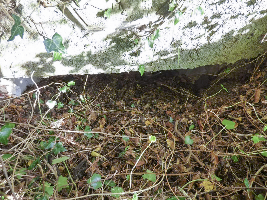 Ligne Maginot - BB26 - MONTIGNY - (Blockhaus pour canon) - Entrée. - JMBrams