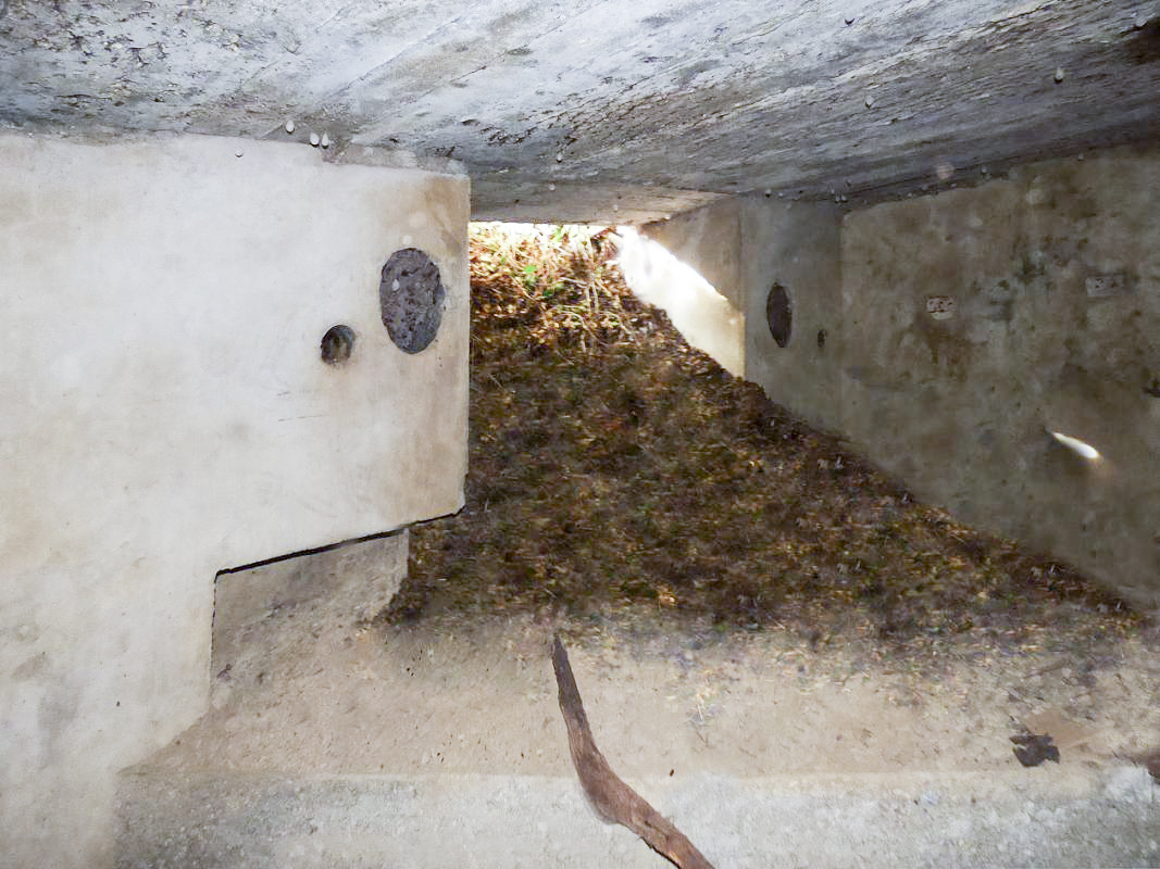 Ligne Maginot - BB26 - MONTIGNY - (Blockhaus pour canon) - Entrée. - JMBrams