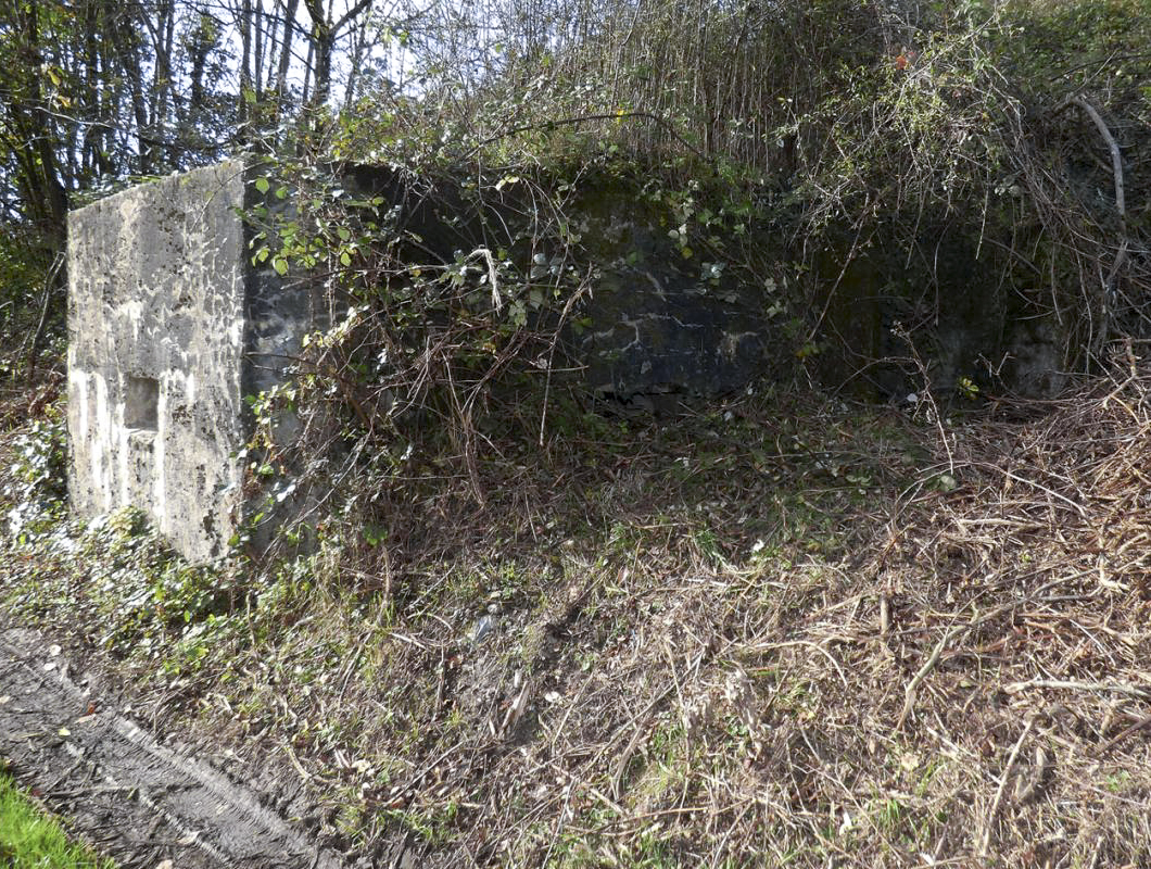 Ligne Maginot - BB27-C - FEPIN SUD - (Blockhaus pour arme infanterie) -  - JMBrams