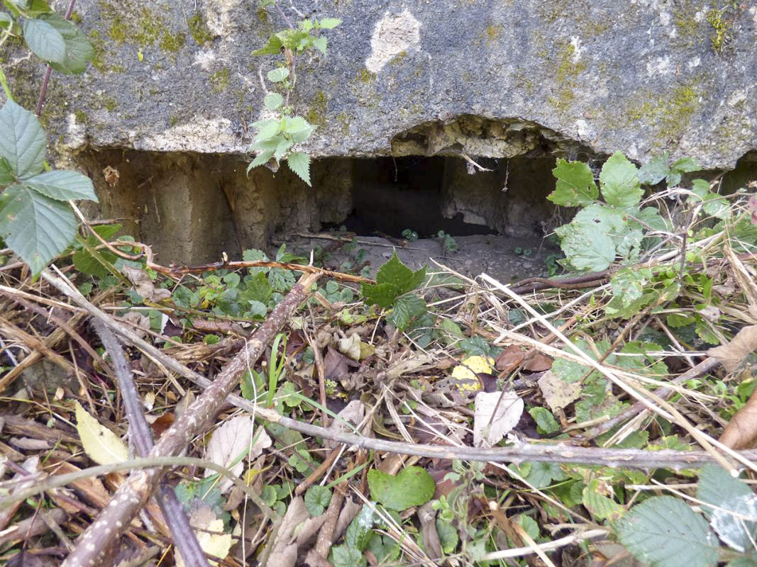 Ligne Maginot - BB27-C - FEPIN SUD - (Blockhaus pour arme infanterie) -  - JMBrams