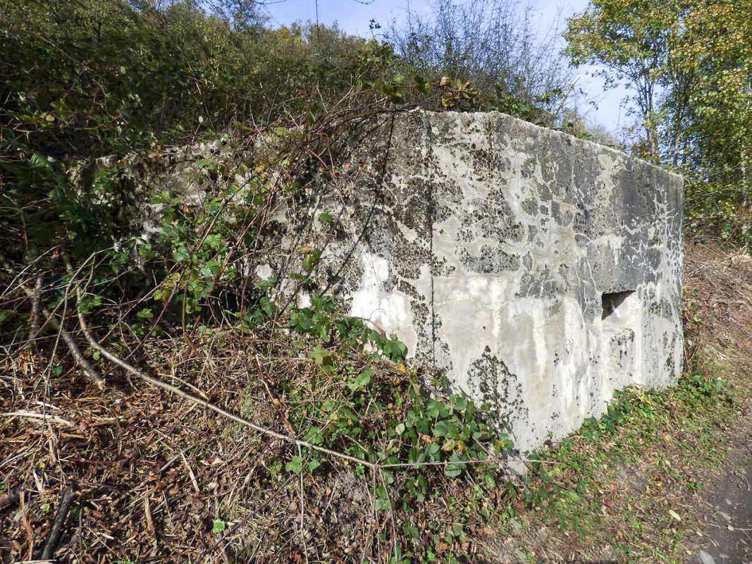 Ligne Maginot - BB27-C - FEPIN SUD - (Blockhaus pour arme infanterie) -  - JMBrams