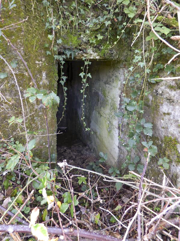 Ligne Maginot - BB27-C - FEPIN SUD - (Blockhaus pour arme infanterie) -  - JMBrams