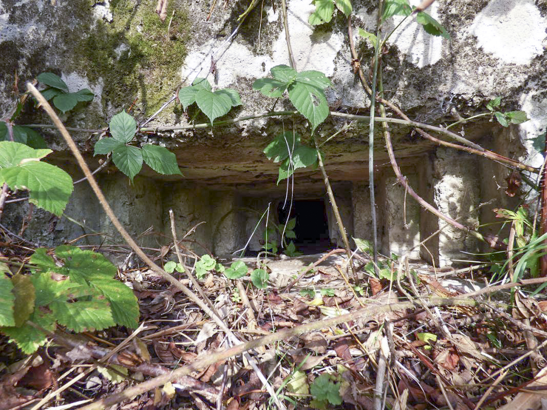 Ligne Maginot - BB27-C - FEPIN SUD - (Blockhaus pour arme infanterie) -  - JMBrams