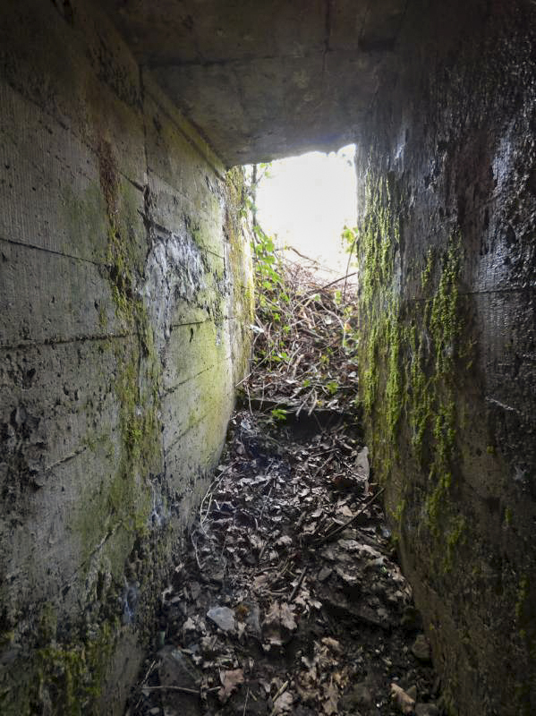 Ligne Maginot - BB27-C - FEPIN SUD - (Blockhaus pour arme infanterie) -  - JMBrams