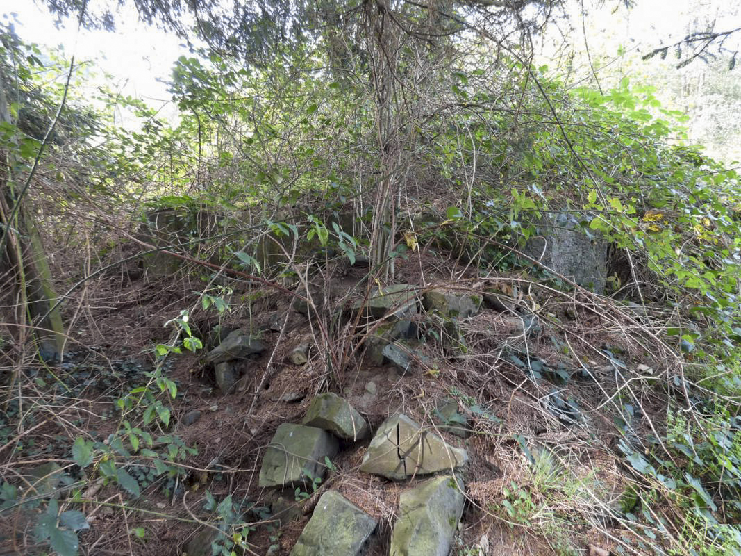 Ligne Maginot - BB27 - LA MENERIE - (Blockhaus pour arme infanterie) -  - JMBrams