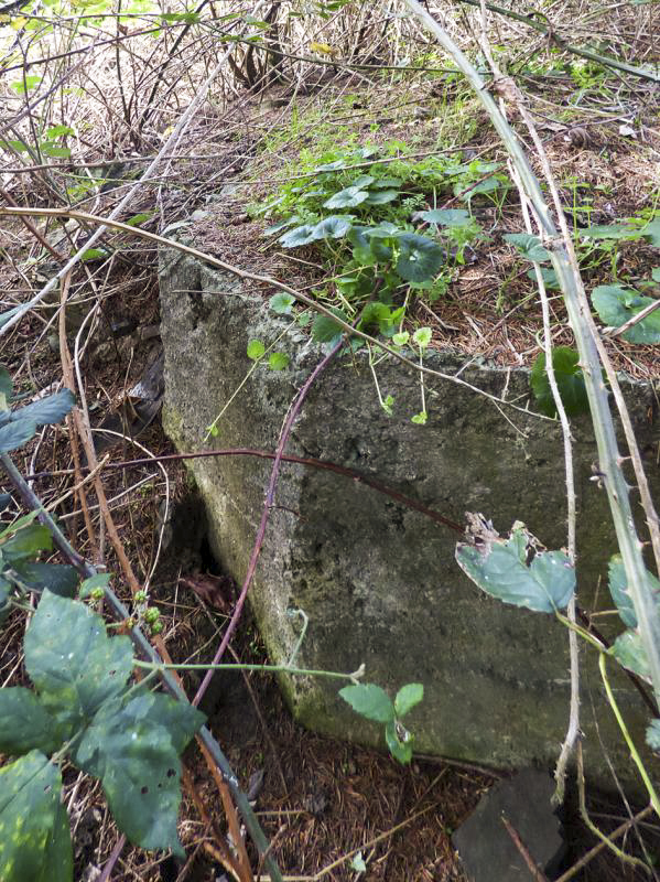 Ligne Maginot - BB27 - LA MENERIE - (Blockhaus pour arme infanterie) -  - JMBrams