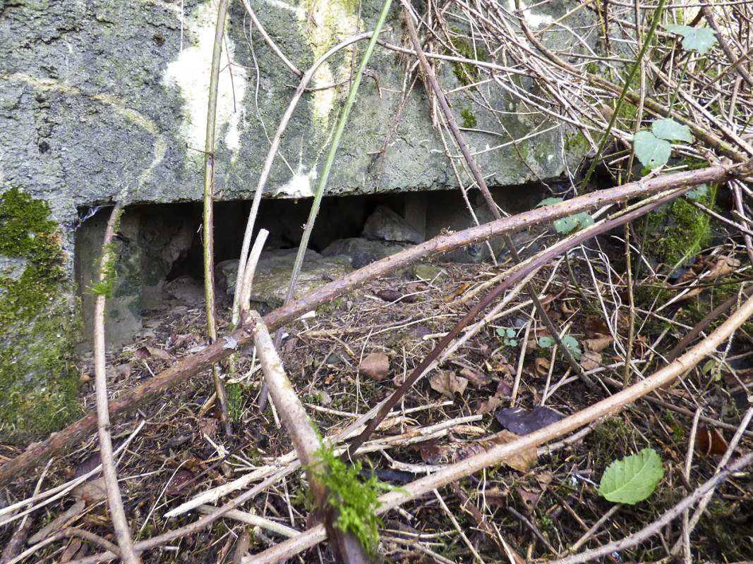 Ligne Maginot - BB27 - LA MENERIE - (Blockhaus pour arme infanterie) -  - JMBrams