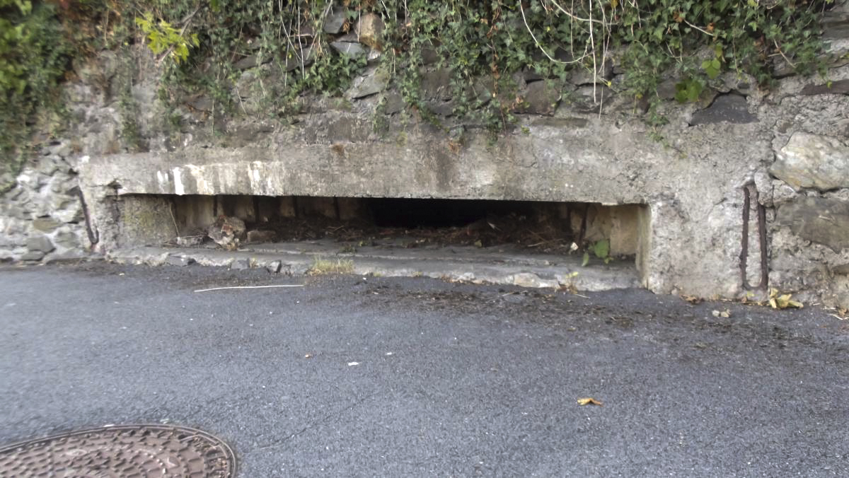 Ligne Maginot - BB28-C - LES ARDOISIERES SAINT JOSEPH OUEST - (Blockhaus pour canon) -  - david harmand