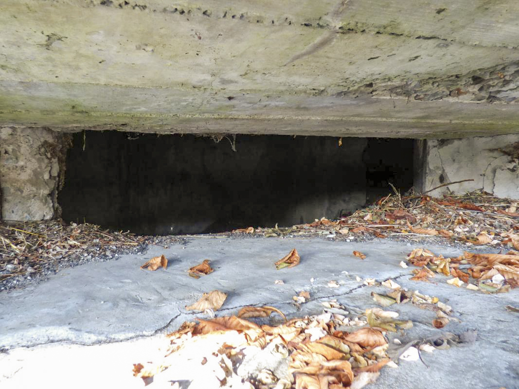 Ligne Maginot - BB28-C - LES ARDOISIERES SAINT JOSEPH OUEST - (Blockhaus pour canon) -  - JMBrams