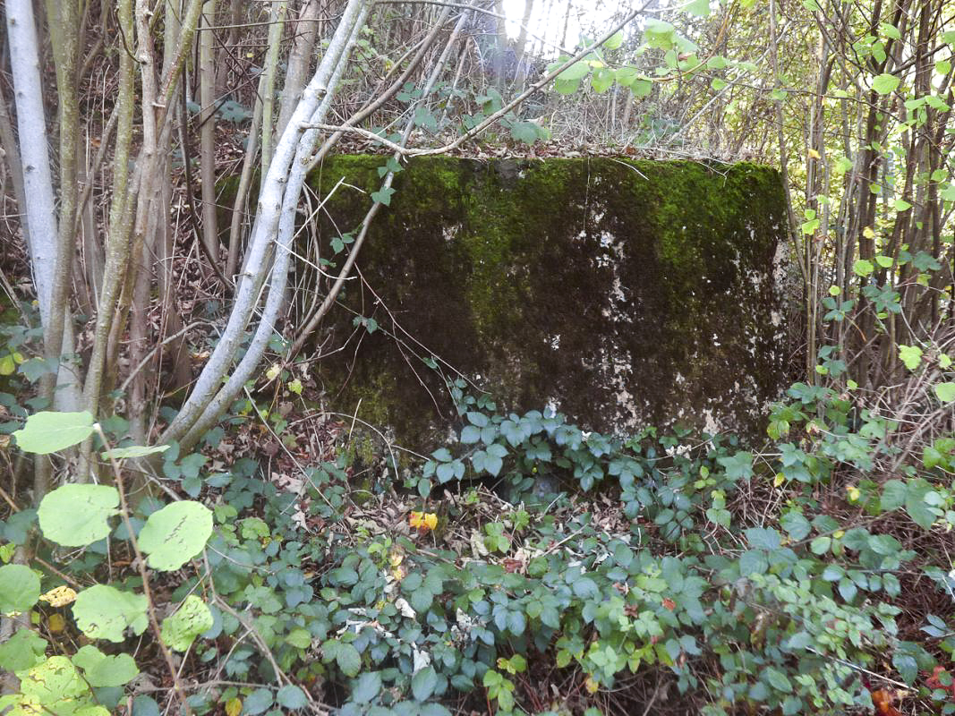 Ligne Maginot - BB29-A - CLOS ROLAND - (Blockhaus pour canon) -  - JMBrams