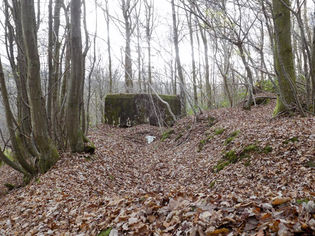 Ligne Maginot - BB29-B - LE CHARNOIS - (Blockhaus pour arme infanterie) - Vestige de tranchée vers l'entrée - R Tucker