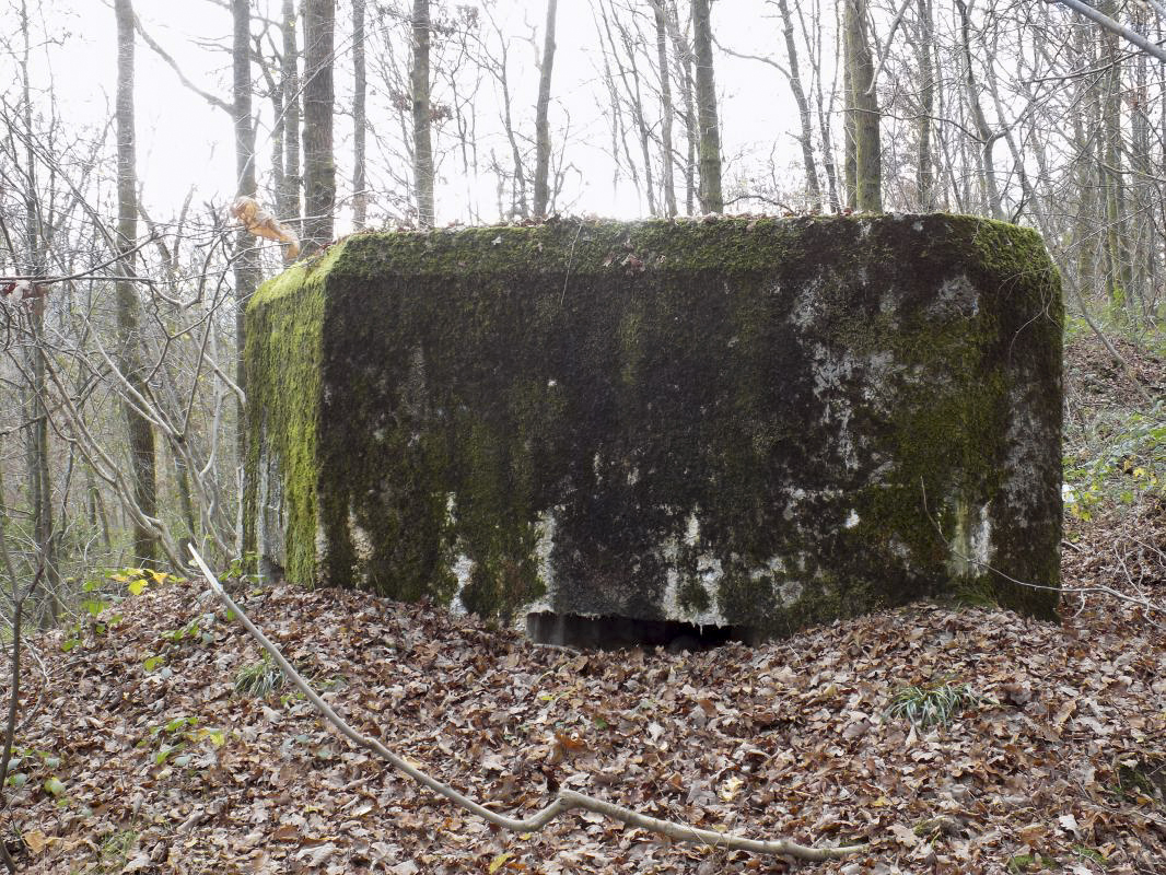 Ligne Maginot - BB29-B - LE CHARNOIS - (Blockhaus pour arme infanterie) -  - R Tucker