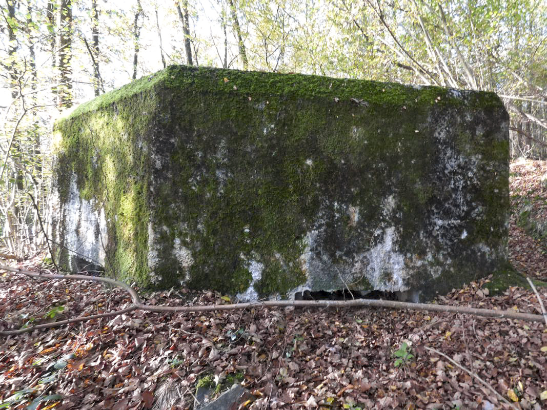 Ligne Maginot - BB29-B - LE CHARNOIS - (Blockhaus pour arme infanterie) -  - JMBrams