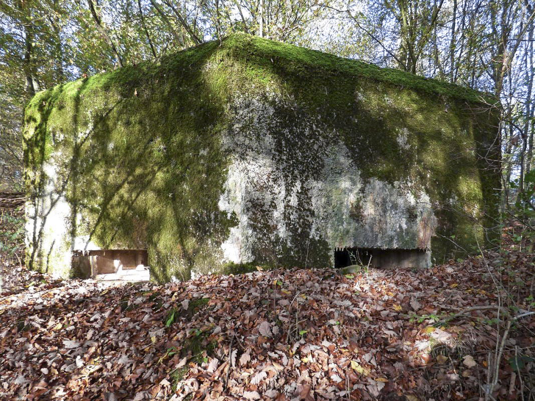 Ligne Maginot - BB29-B - LE CHARNOIS - (Blockhaus pour arme infanterie) -  - JMBrams